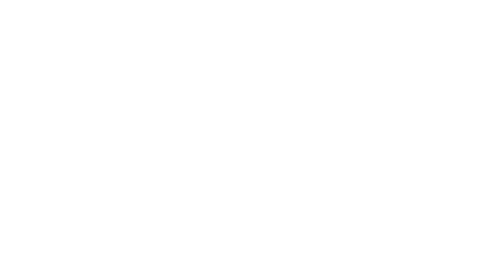 SKN logo with large initials “SKN” and the full name Shahryar Khan Niazi written below on a transparent background.
